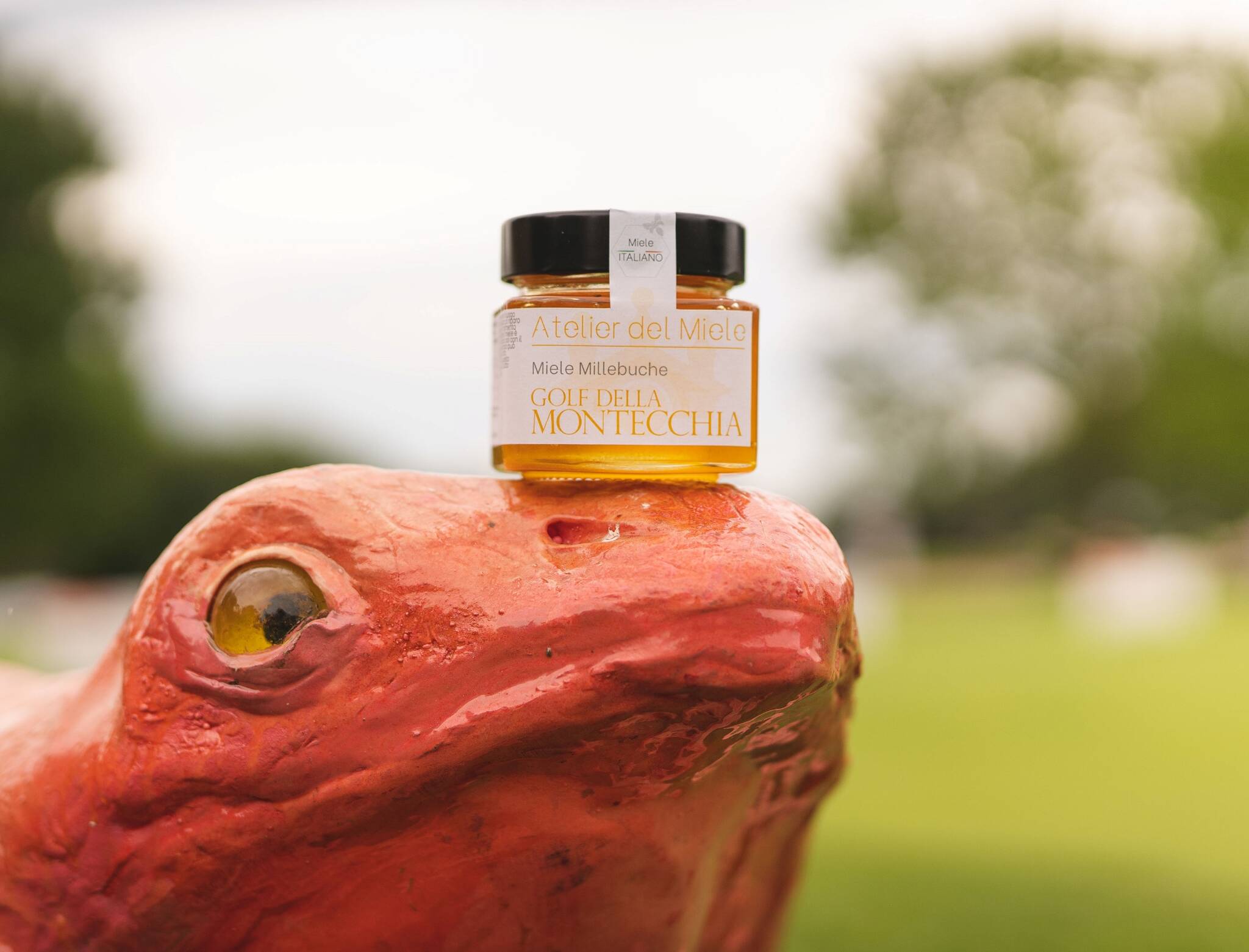 Operazione Pollinator