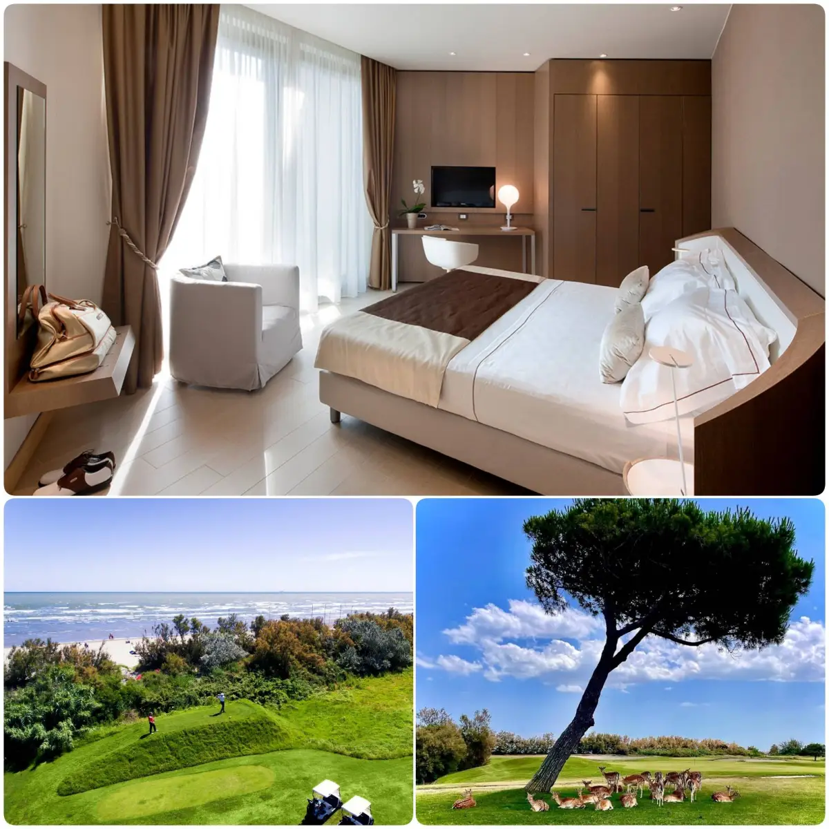 Offerta golf Montecchia, Frassanelle, Albarella, Venezia, Padova, Colli Euganei